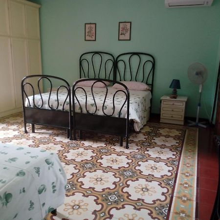Bed and Breakfast Il Cactus San Giovanni Incarico Exterior foto