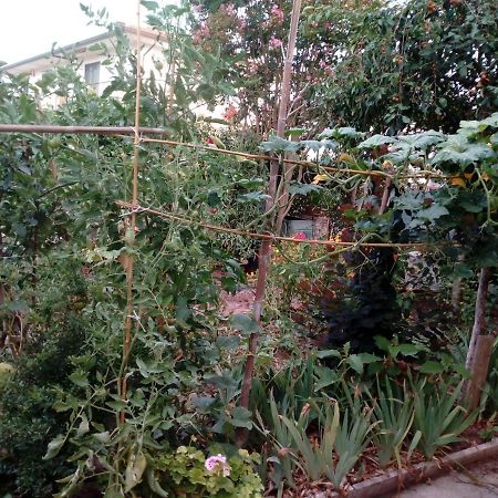 Bed and Breakfast Il Cactus San Giovanni Incarico Exterior foto