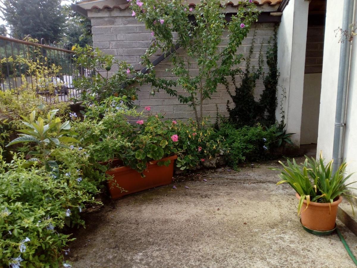 Bed and Breakfast Il Cactus San Giovanni Incarico Exterior foto
