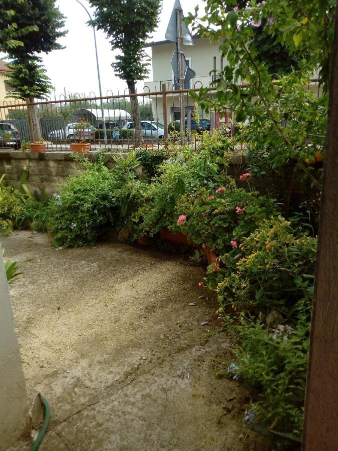 Bed and Breakfast Il Cactus San Giovanni Incarico Exterior foto